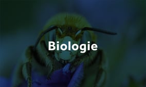 Biologie -